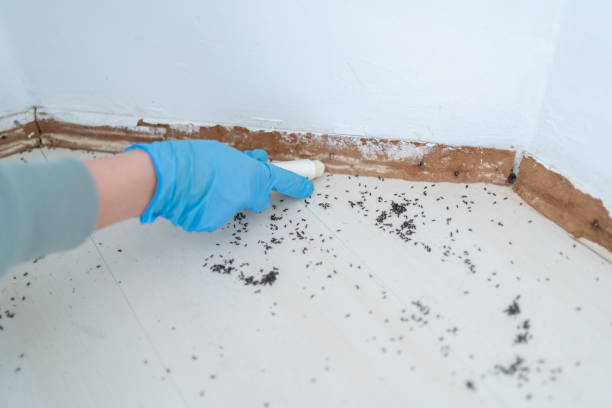 Real Estate Pest Inspections in Marcellus, MI